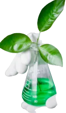 plant in a beaker with green liquid plant in a beaker with green liquid